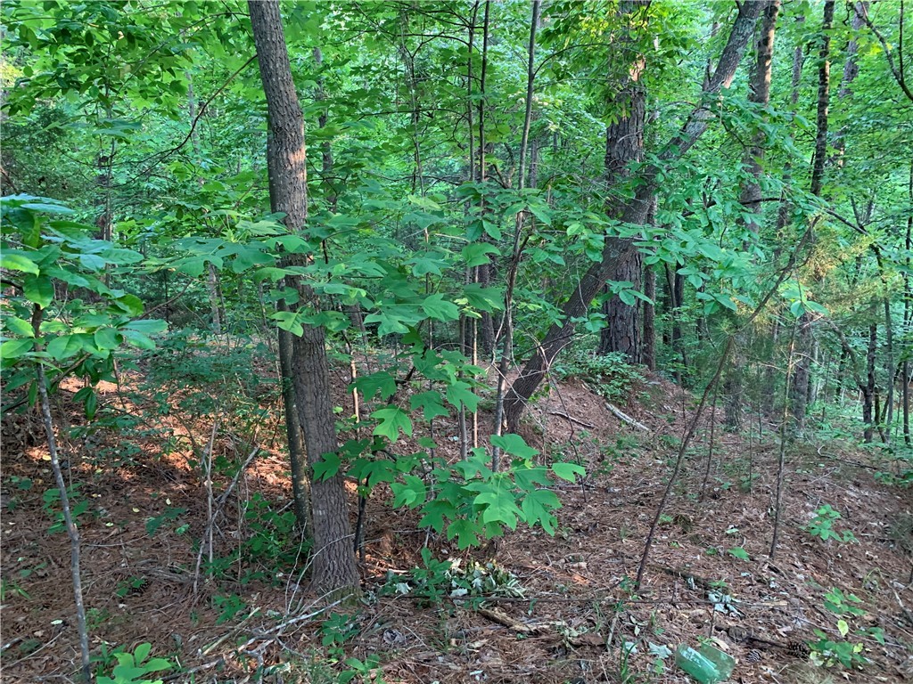 0 Cane Creek Harbor Road Seneca, SC 29672 - Photo 2 of 13 Gallery Image 2