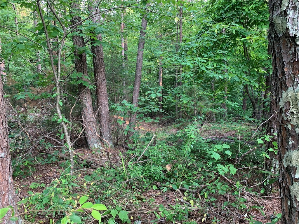 0 Cane Creek Harbor Road Seneca, SC 29672 - Photo 4 of 13 Gallery Image 4