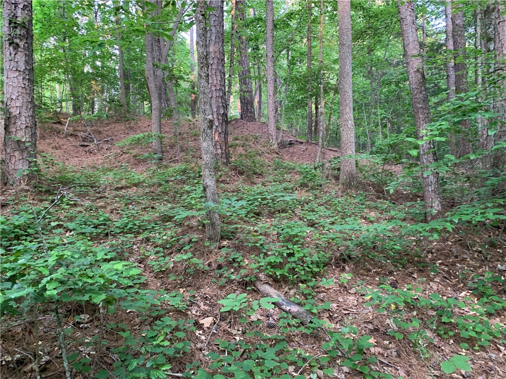 0 Cane Creek Harbor Road Seneca, SC 29672 - Photo 5 of 13 Gallery Image 5