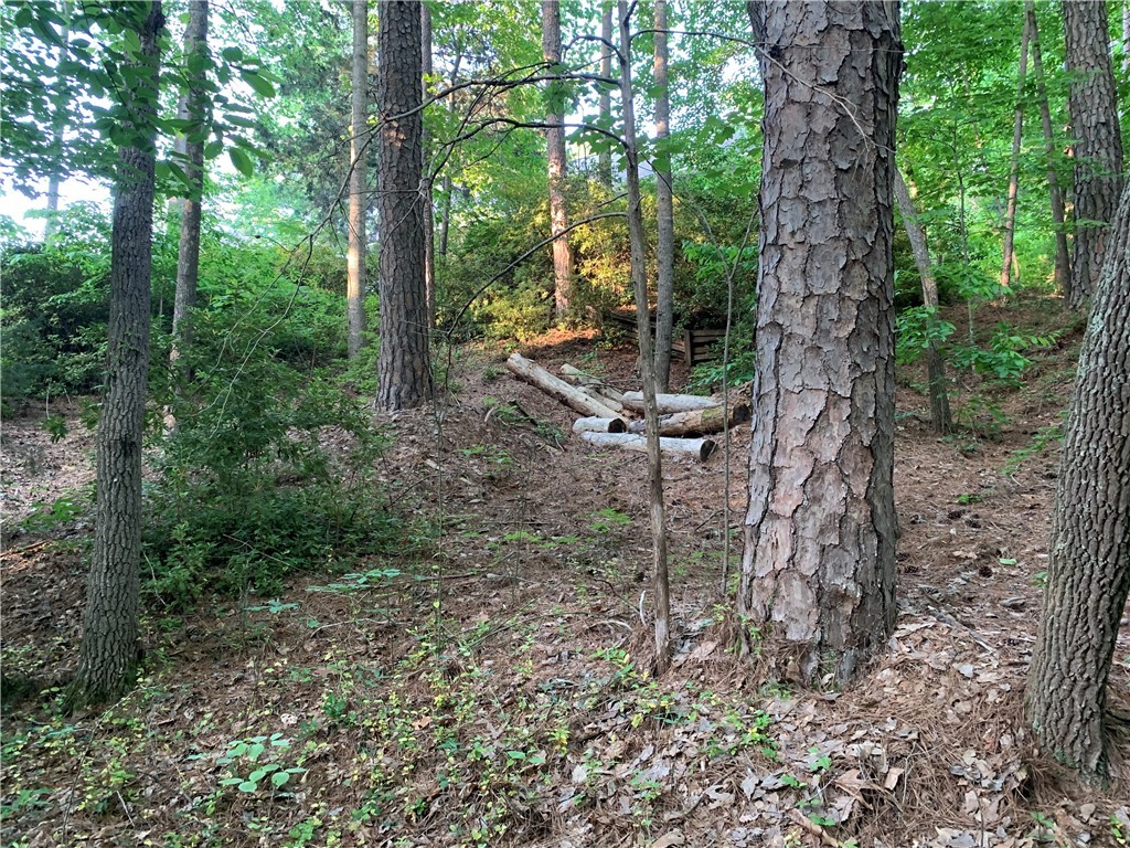 0 Cane Creek Harbor Road Seneca, SC 29672 - Photo 7 of 13 Gallery Image 7