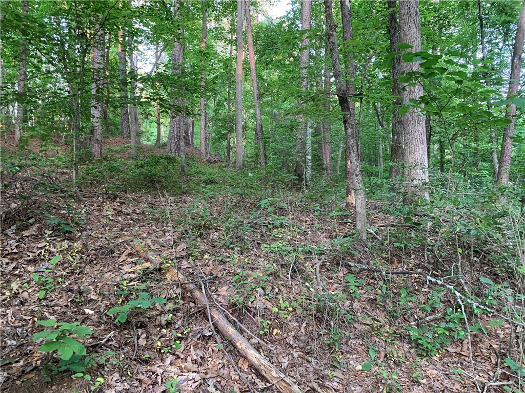 0 Cane Creek Harbor Road Seneca, SC 29672 - Photo 8 of 13 Gallery Image 8