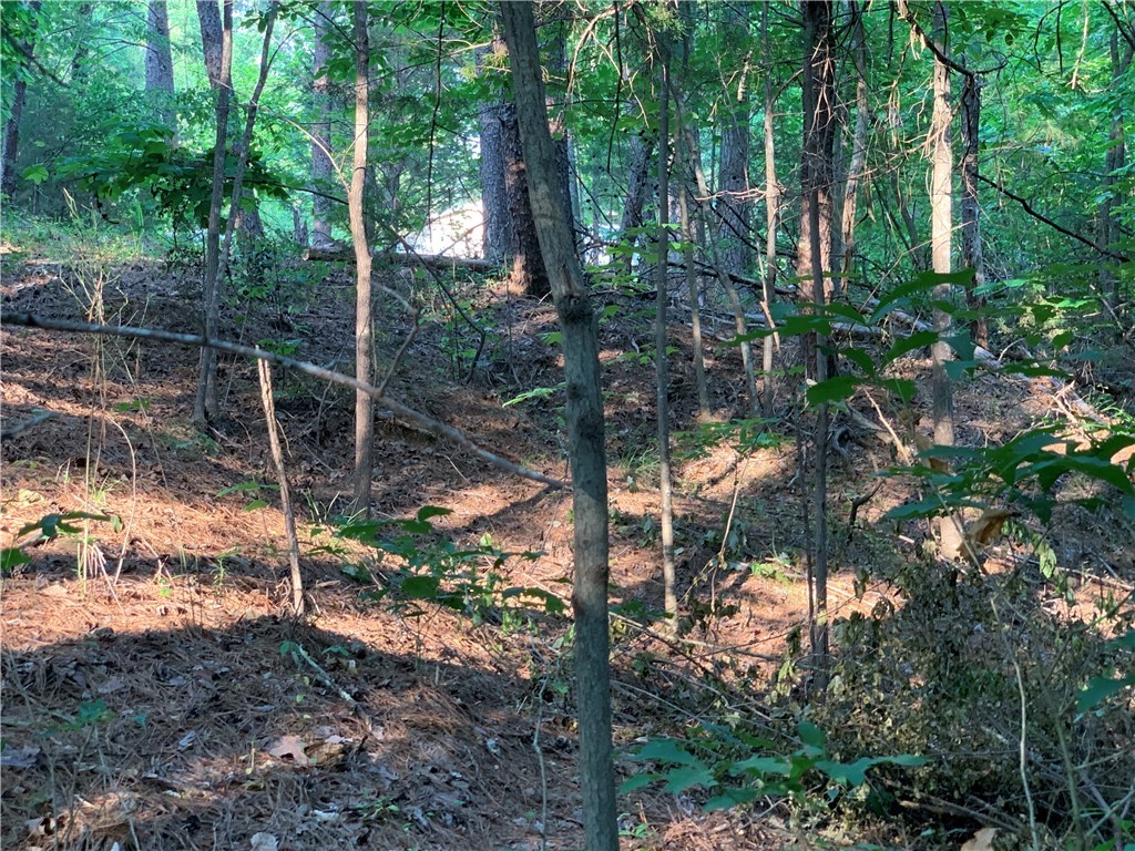 0 Cane Creek Harbor Road Seneca, SC 29672 - Photo 10 of 13 Gallery Image 10