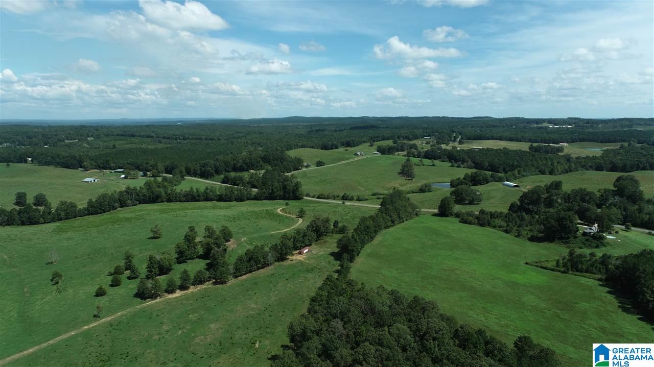 1056 Fuller Road Cragford, AL 36255 - Photo 15 of 18