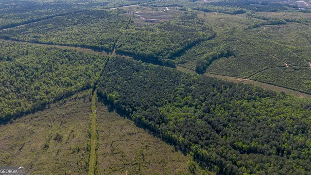 $150,000 | 949 Marion-Ripley Road, Dry Branch, GA 31020