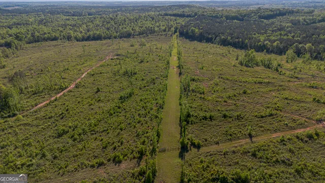 $150,000 | 949 Marion-Ripley Road, Dry Branch, GA 31020