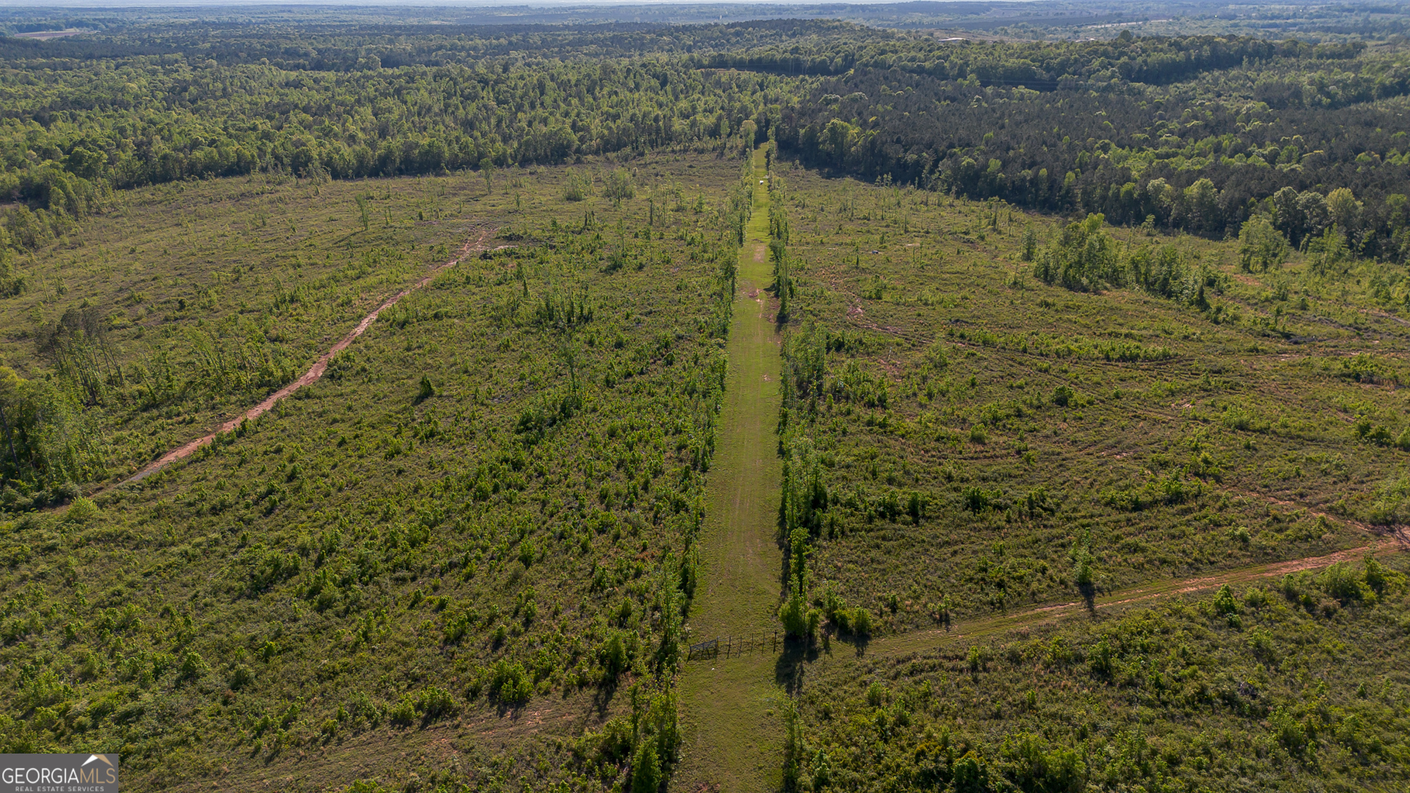 949 Marion-Ripley Road Dry Branch, GA 31020 - Photo 16 of 20