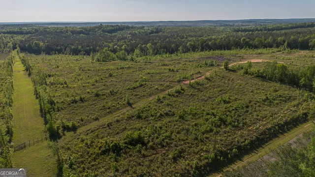 $150,000 | 949 Marion-Ripley Road, Dry Branch, GA 31020