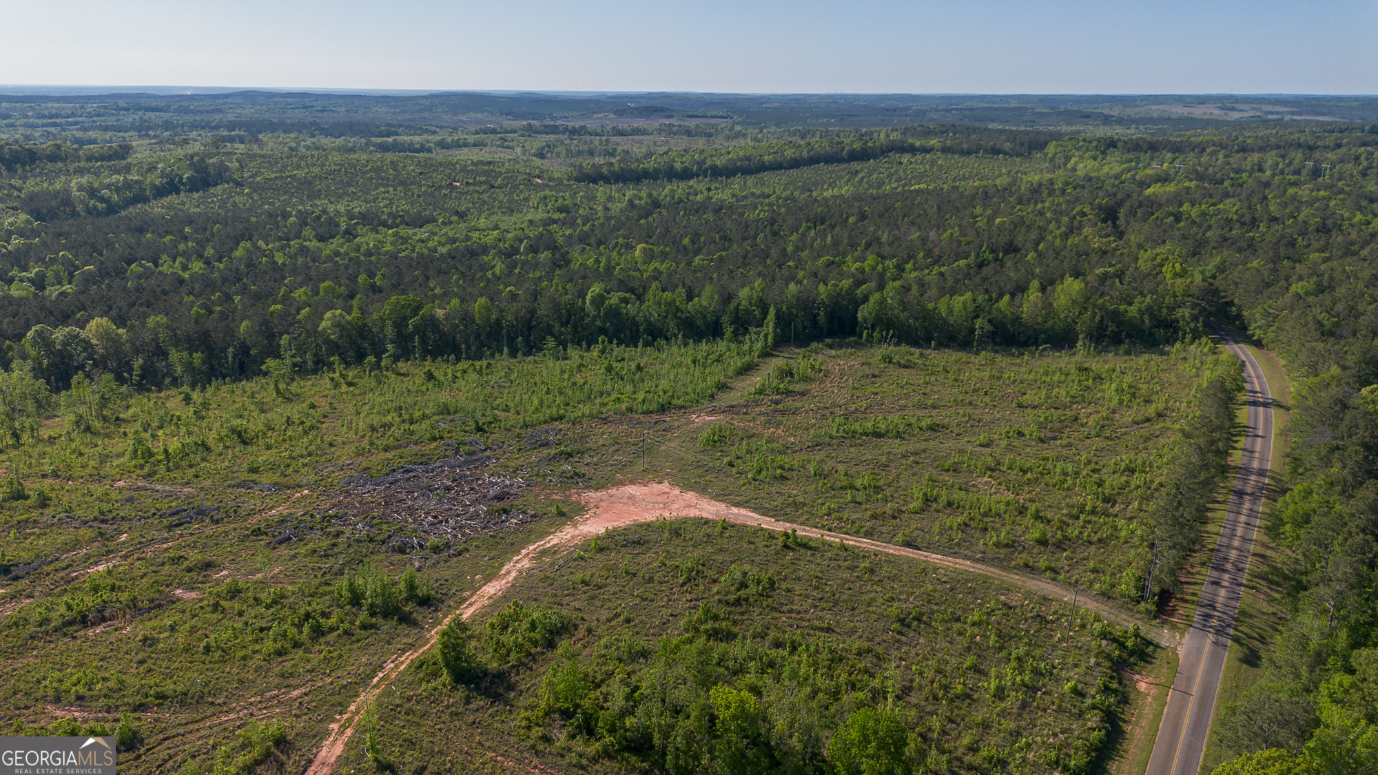 949 Marion-Ripley Road Dry Branch, GA 31020 - Photo 3 of 20