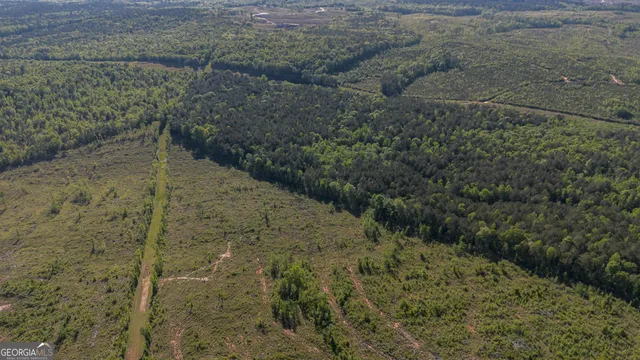 $150,000 | 949 Marion-Ripley Road, Dry Branch, GA 31020