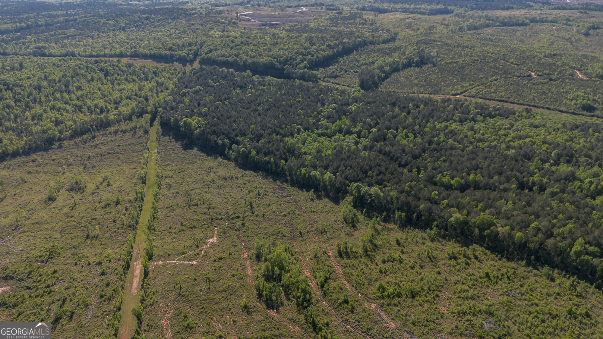 949 Marion-Ripley Road Dry Branch, GA 31020 - Photo 5 of 20
