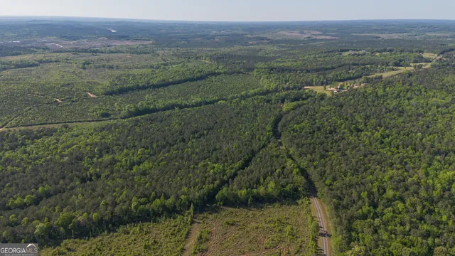 $150,000 | 949 Marion-Ripley Road, Dry Branch, GA 31020