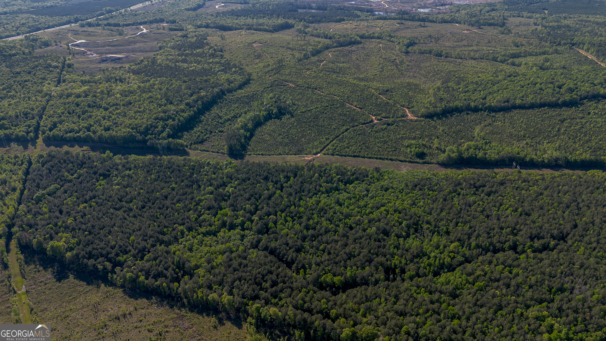 949 Marion-Ripley Road Dry Branch, GA 31020 - Photo 9 of 20