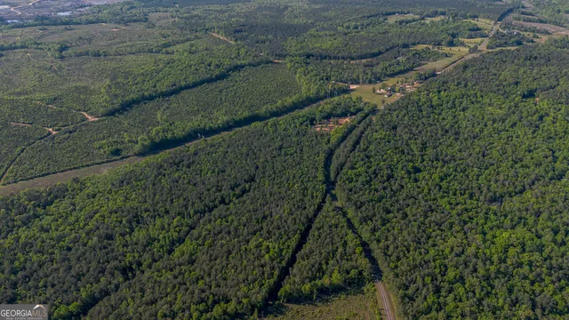 $150,000 | 949 Marion-Ripley Road, Dry Branch, GA 31020