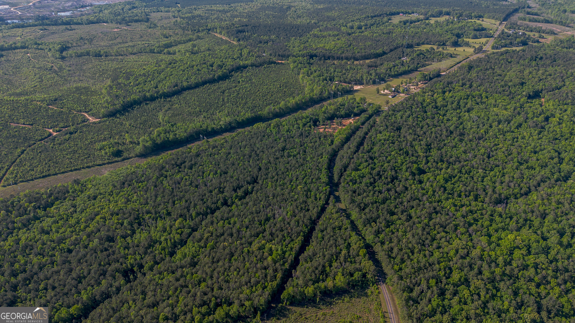 949 Marion-Ripley Road Dry Branch, GA 31020 - Photo 10 of 20