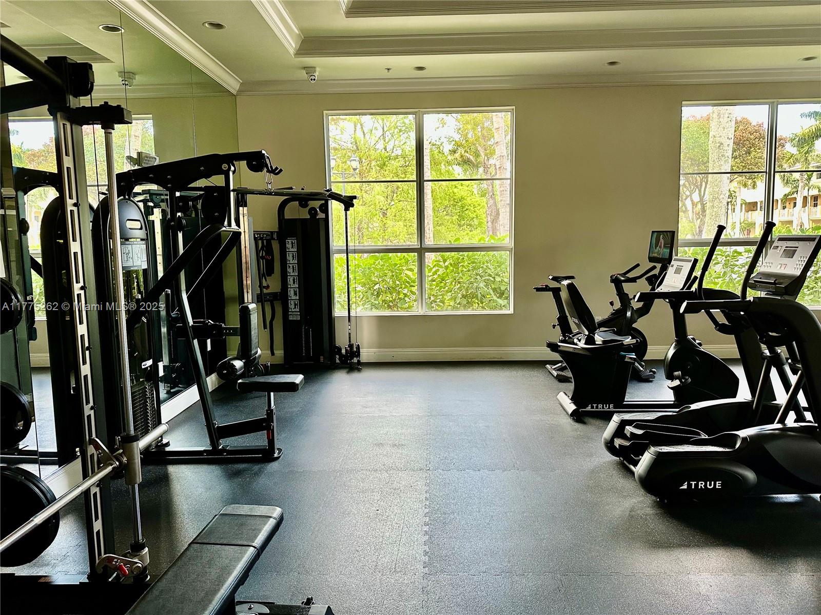 1660 Renaissance Commons Boulevard, Unit 2424 Boynton Beach, FL 33426 - Photo 48 of 57