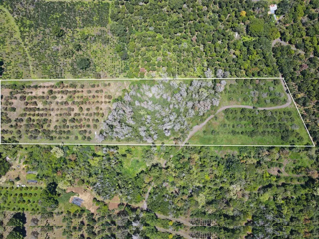 a view of a yard with wooden fence