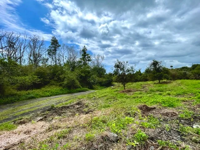 a view of a green field with lots of green space