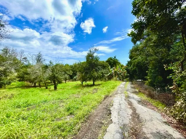 a view of an outdoor space and a yard