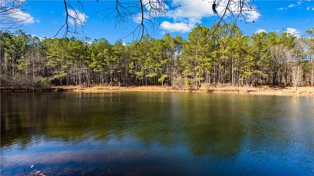 $400,000 | 2-877 Mckee Road, Waverly Hall, GA 31831