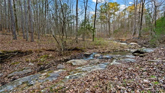 $400,000 | 2-877 Mckee Road, Waverly Hall, GA 31831