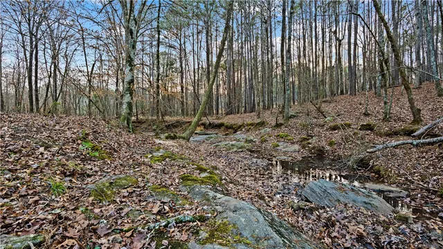 $400,000 | 2-877 Mckee Road, Waverly Hall, GA 31831