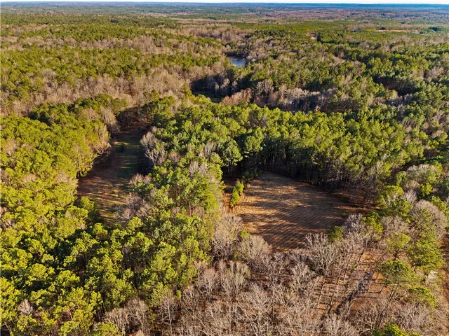 $400,000 | 2-877 Mckee Road, Waverly Hall, GA 31831