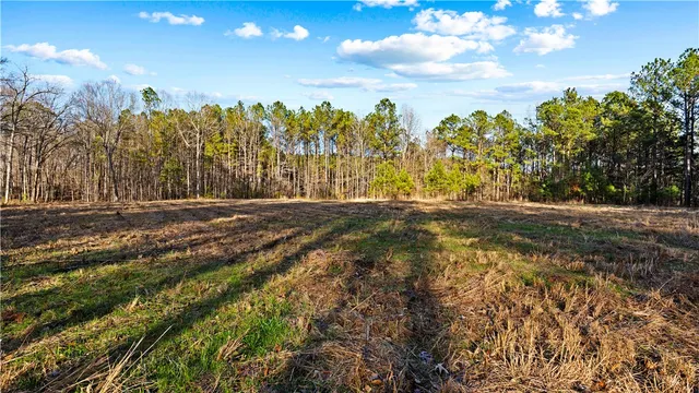 $400,000 | 2-877 Mckee Road, Waverly Hall, GA 31831