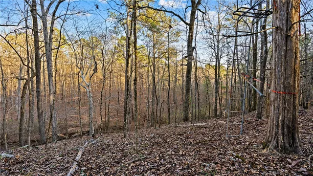 $400,000 | 2-877 Mckee Road, Waverly Hall, GA 31831