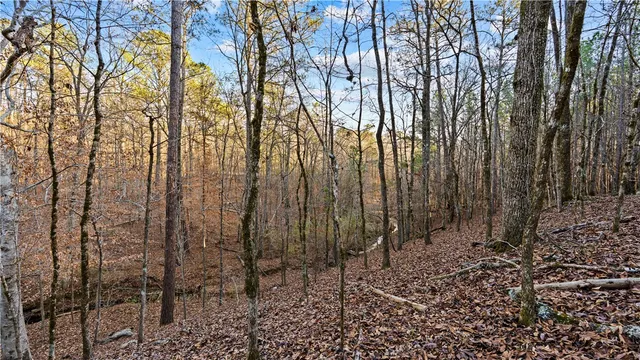 $400,000 | 2-877 Mckee Road, Waverly Hall, GA 31831