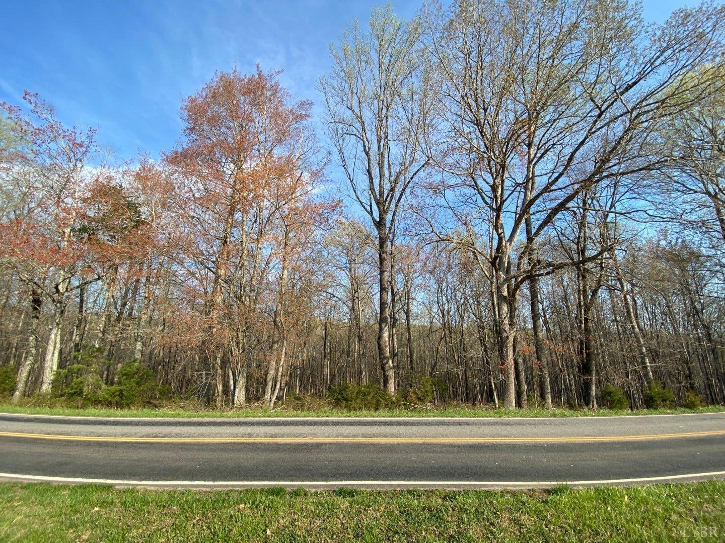 5225 Cottontown Road Forest, VA 24551 - Photo 8 of 10 Gallery Image 8