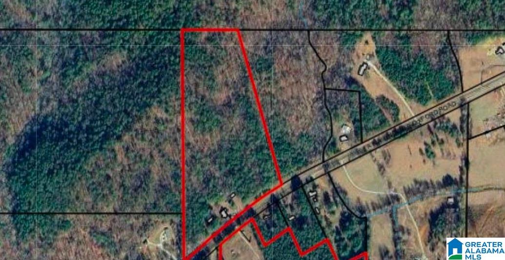 1081 Abel Road Delta, AL 36258 - Photo 6 of 32