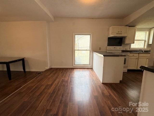 104 Price Street Mount Holly, NC 28120 - Photo 10 of 37 a view of a kitchen with wooden floor and a sink
