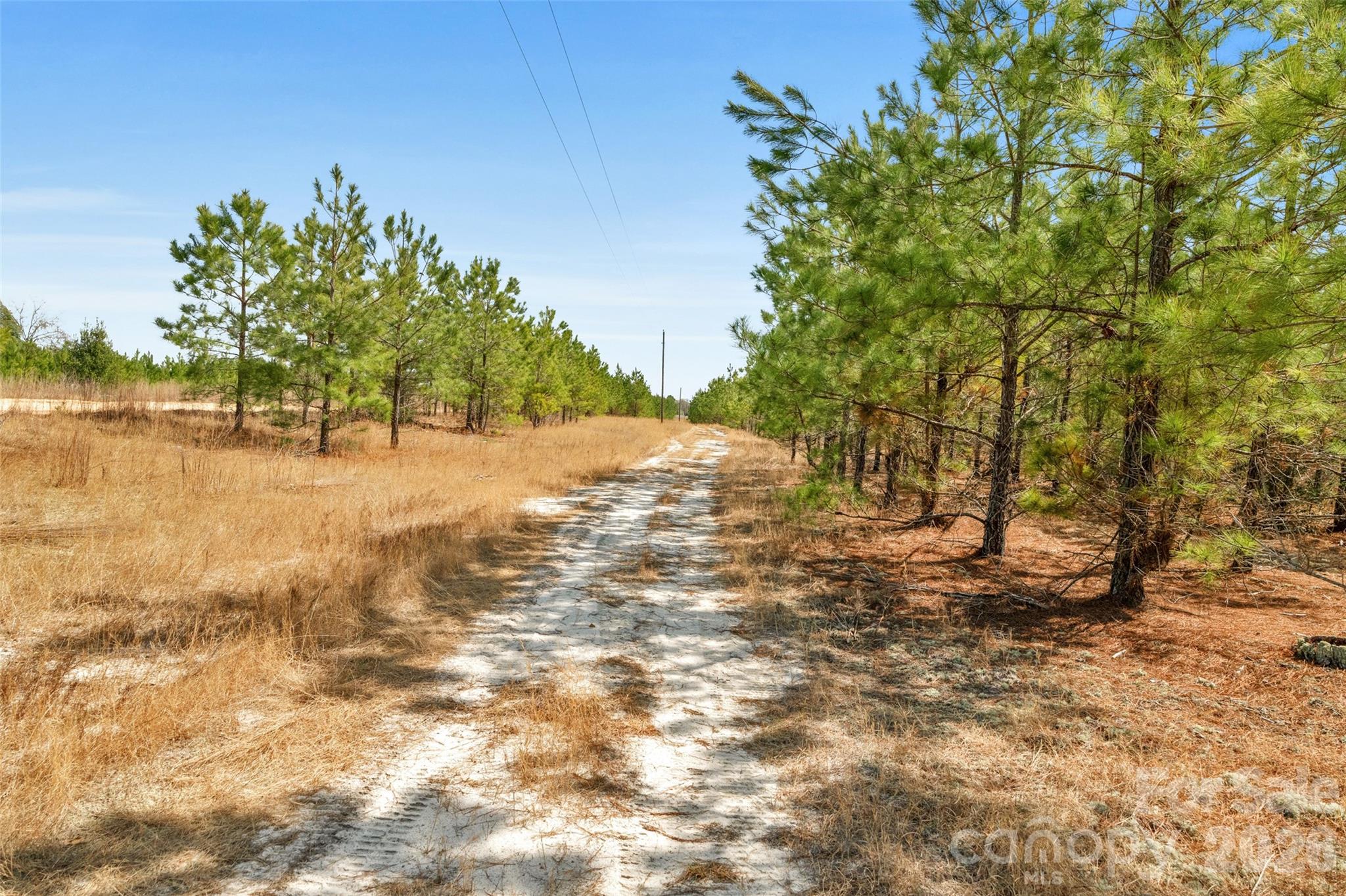 931 Charlie Johnson Road, Unit 7 Kershaw, SC 29067 - Photo 13 of 34