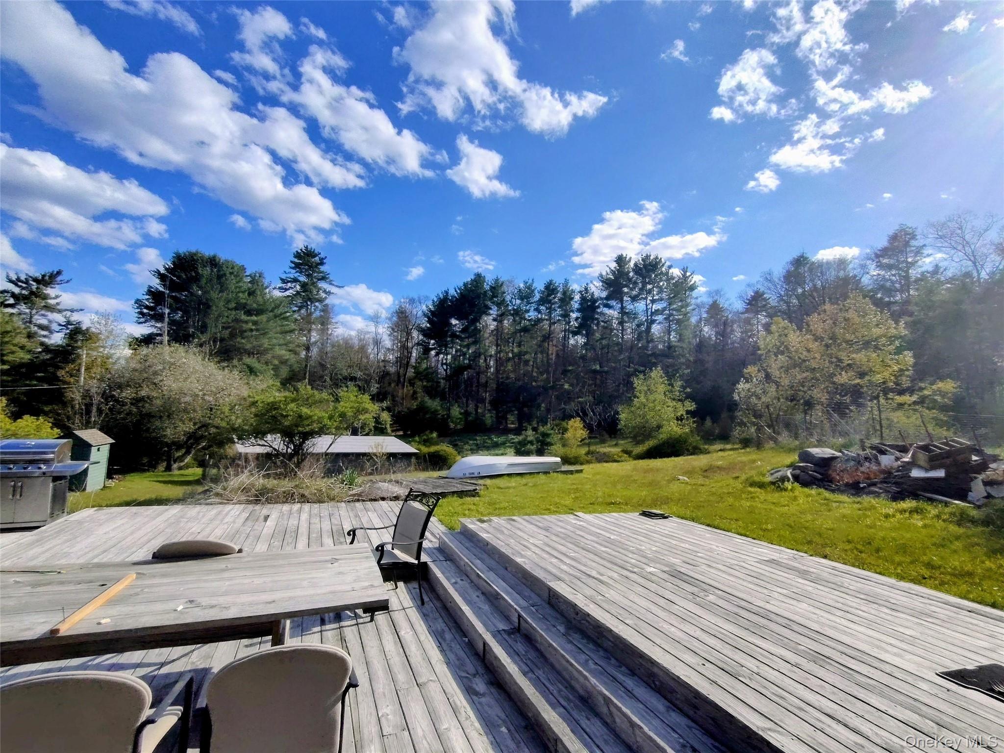 983 Plank Road Forestburgh, NY 12777 - Photo 22 of 50
