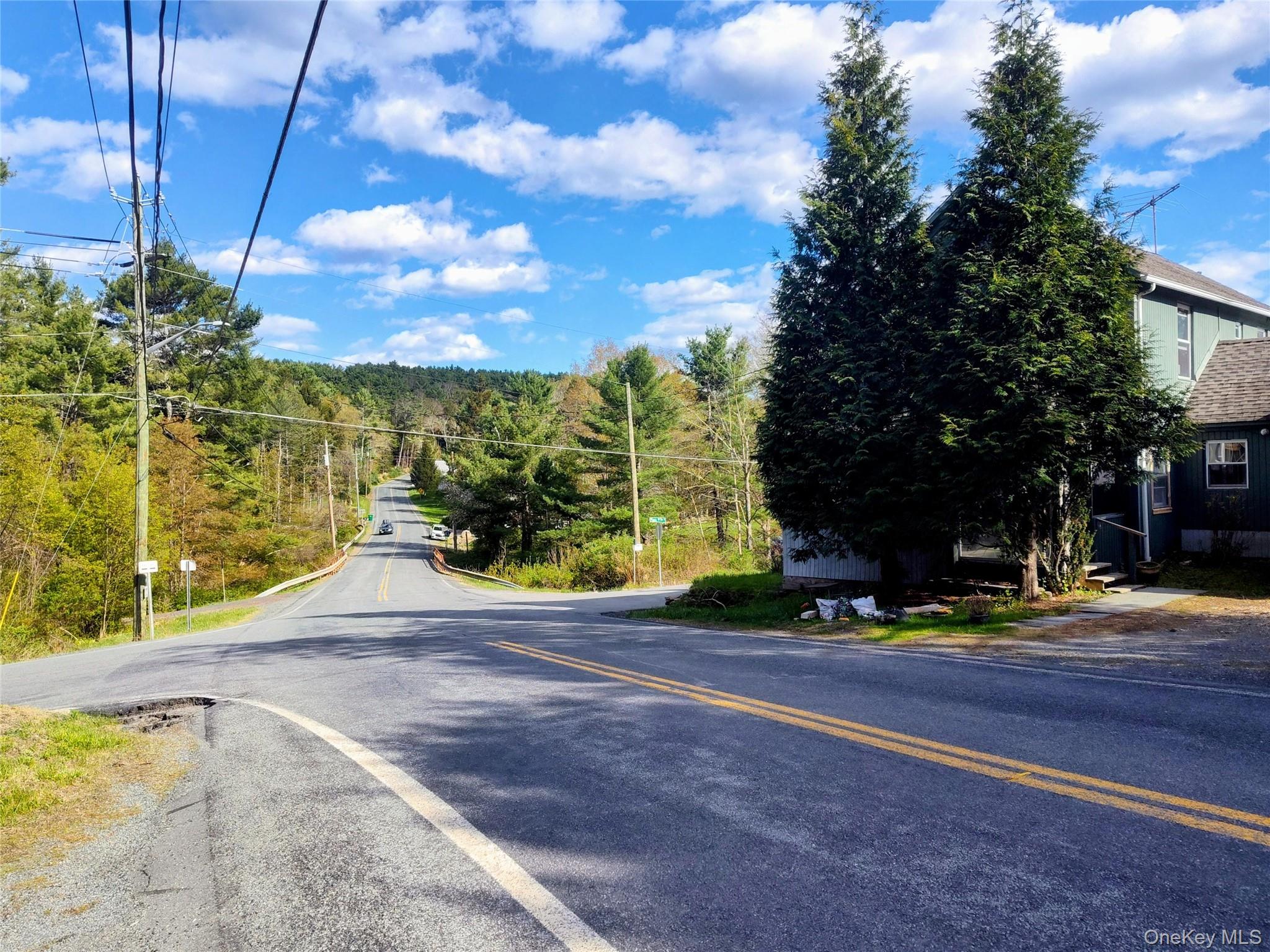 983 Plank Road Forestburgh, NY 12777 - Photo 24 of 50