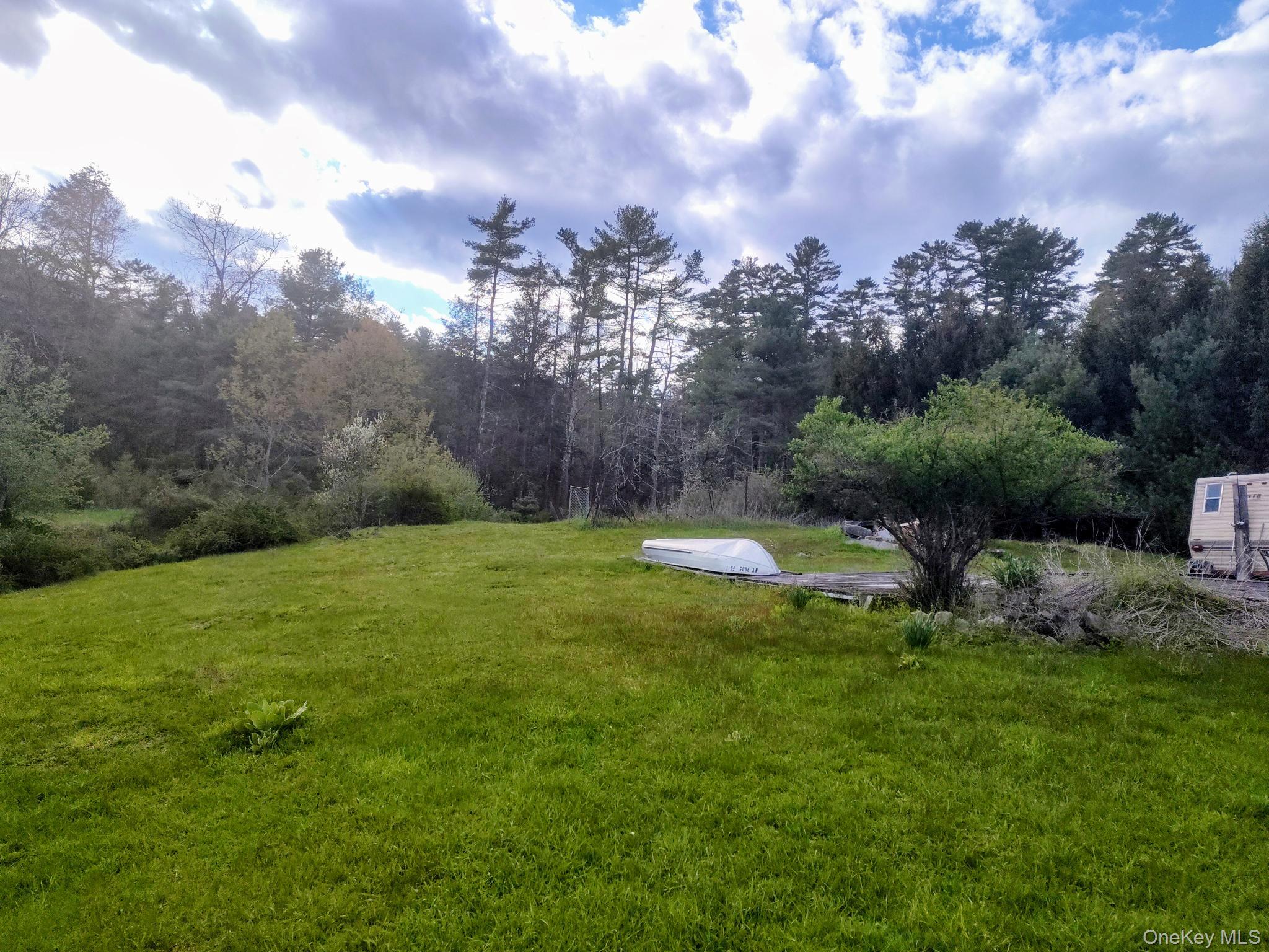 983 Plank Road Forestburgh, NY 12777 - Photo 26 of 50 Expansive green lawn surrounded by varied mature trees
