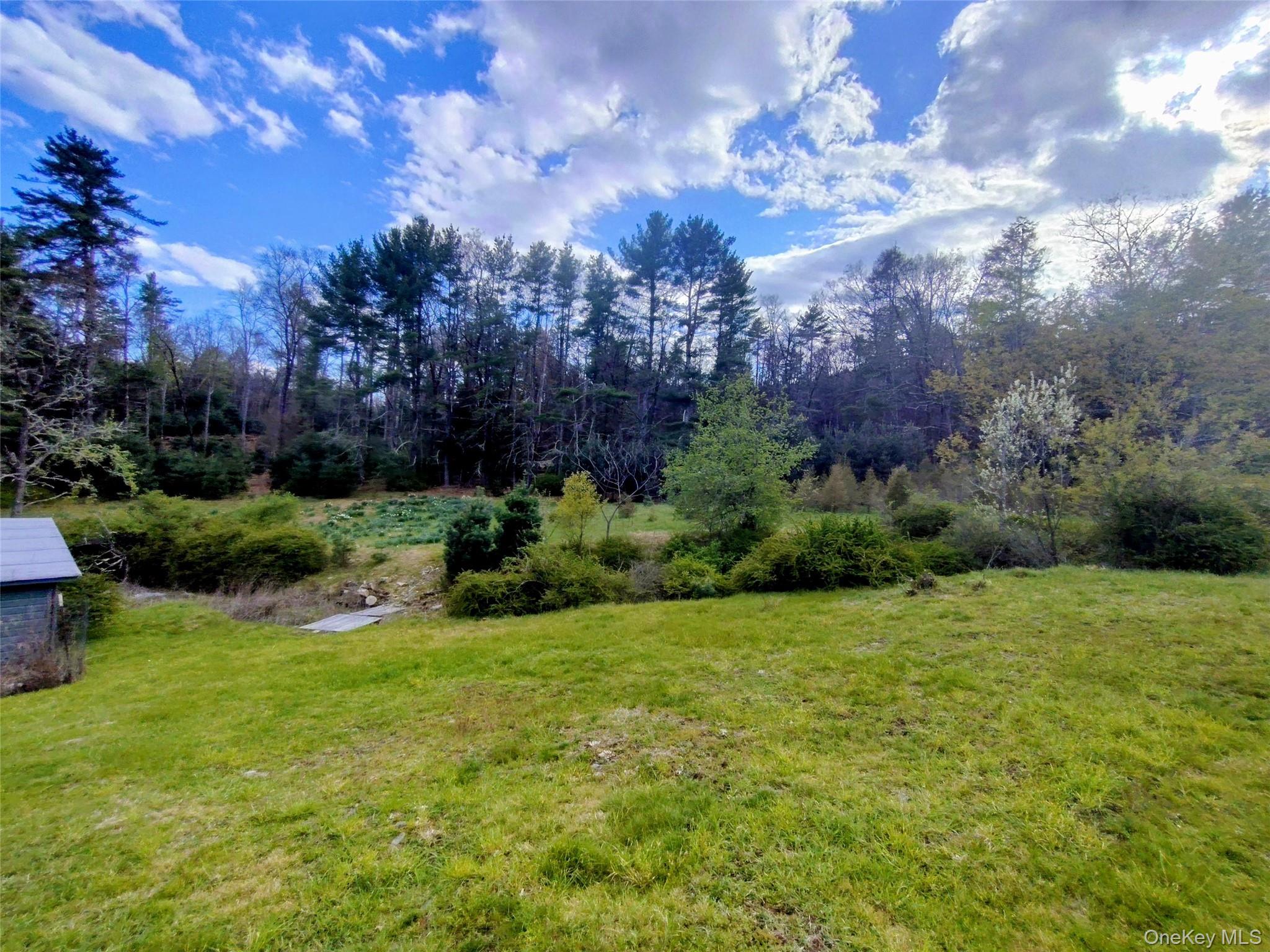 983 Plank Road Forestburgh, NY 12777 - Photo 27 of 50 Expansive green lawn with a tree-lined perimeter