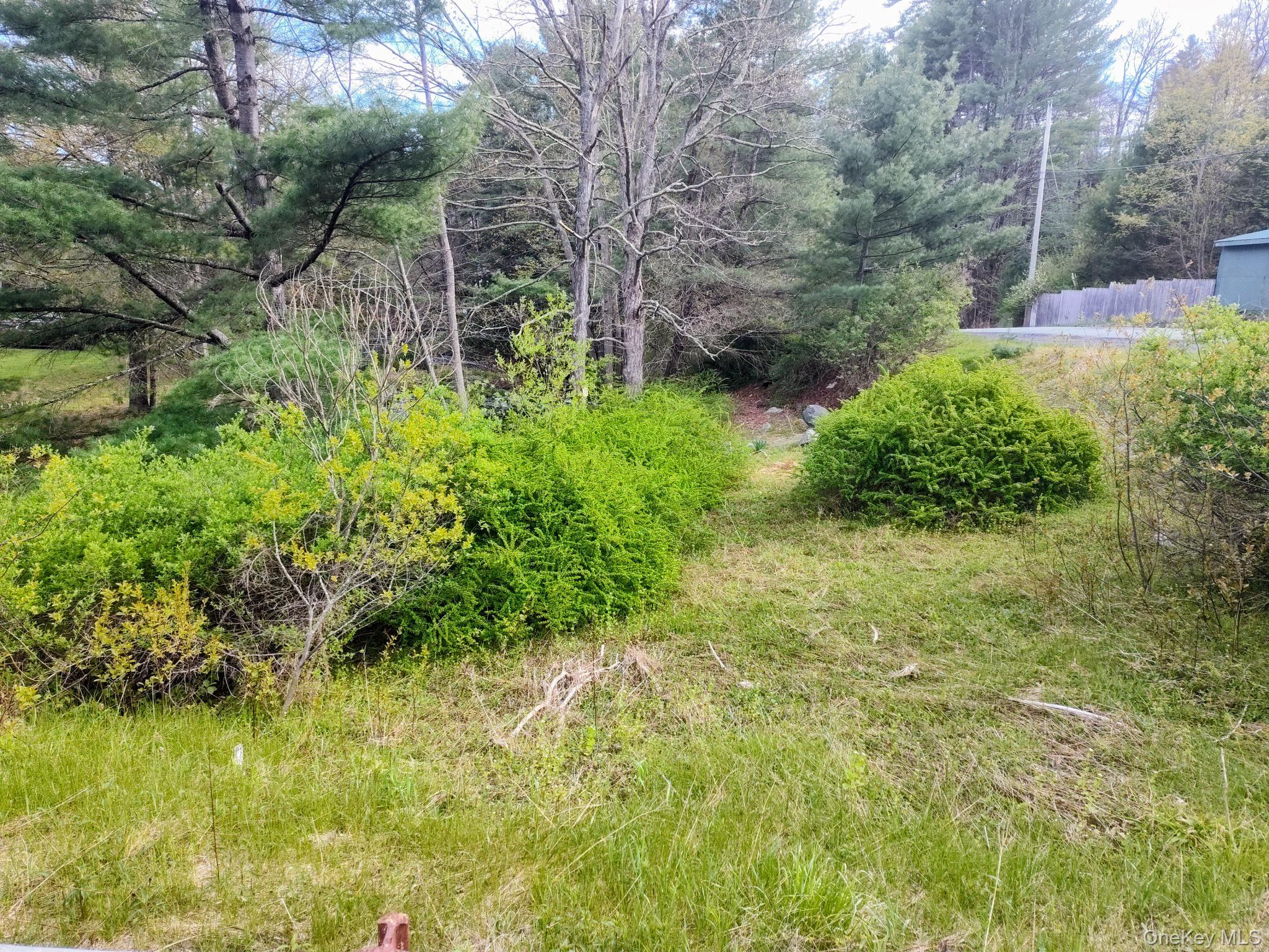 983 Plank Road Forestburgh, NY 12777 - Photo 28 of 50