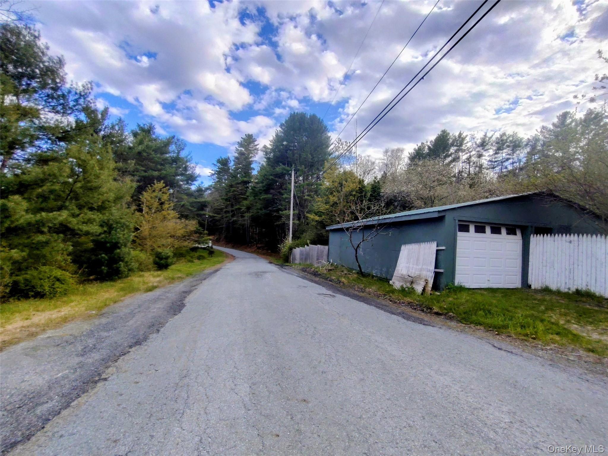 983 Plank Road Forestburgh, NY 12777 - Photo 30 of 50