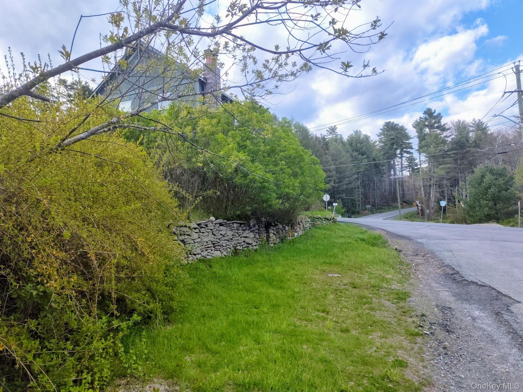 983 Plank Road Forestburgh, NY 12777 - Photo 31 of 50