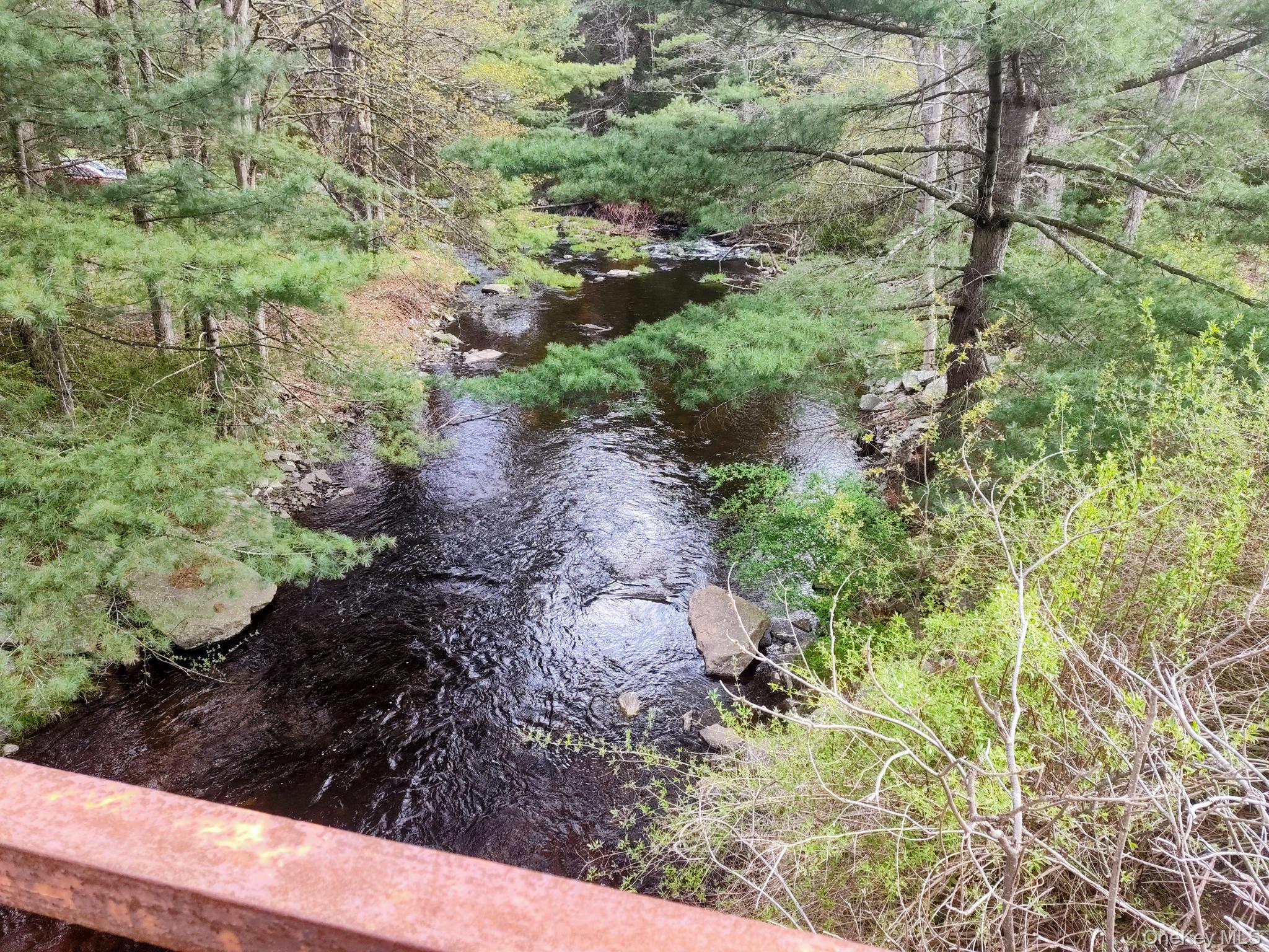 983 Plank Road Forestburgh, NY 12777 - Photo 4 of 50 The Black Brook flowing through your property....