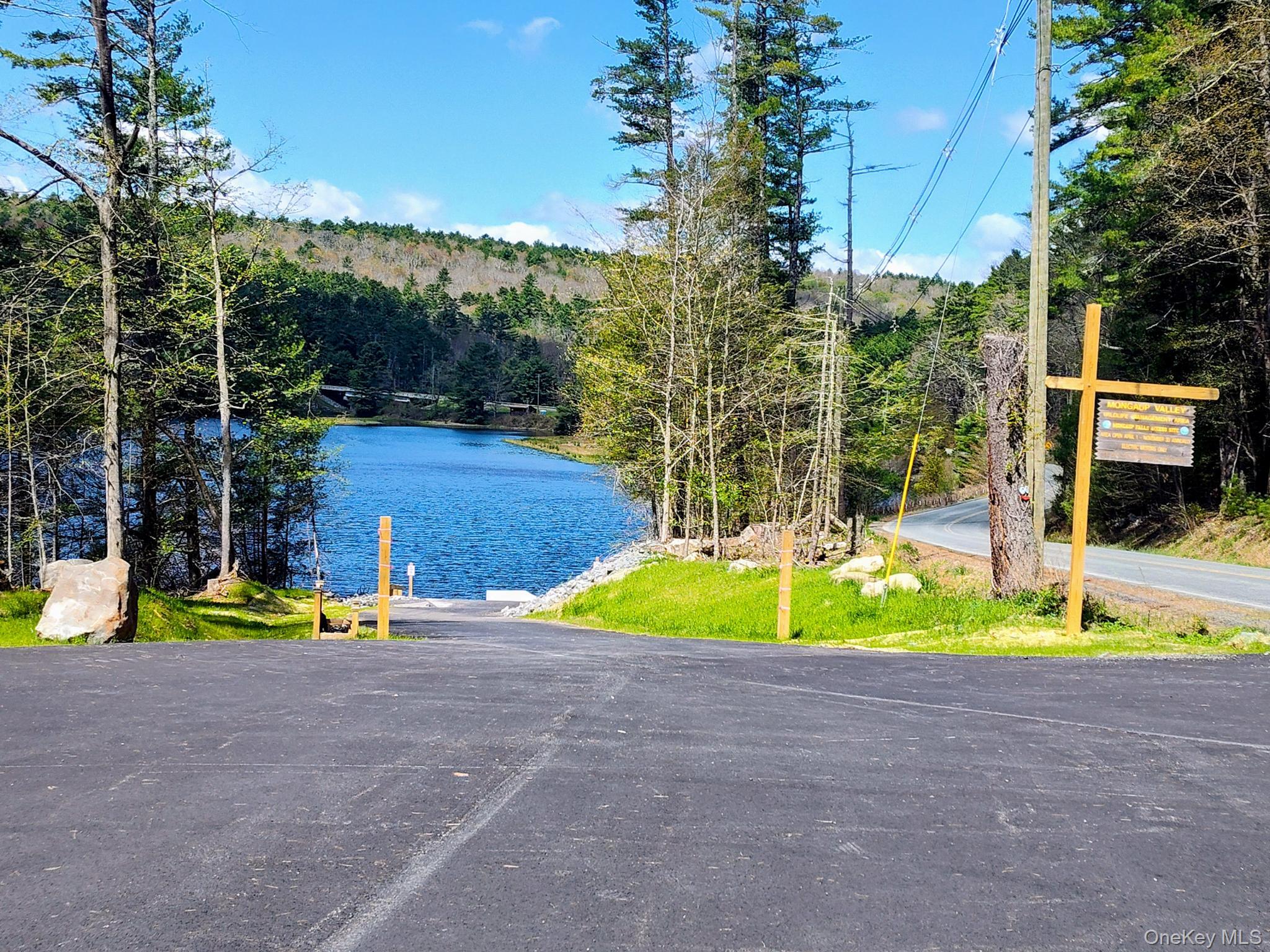 983 Plank Road Forestburgh, NY 12777 - Photo 50 of 50 a view of a swimming pool with a patio and a yard
