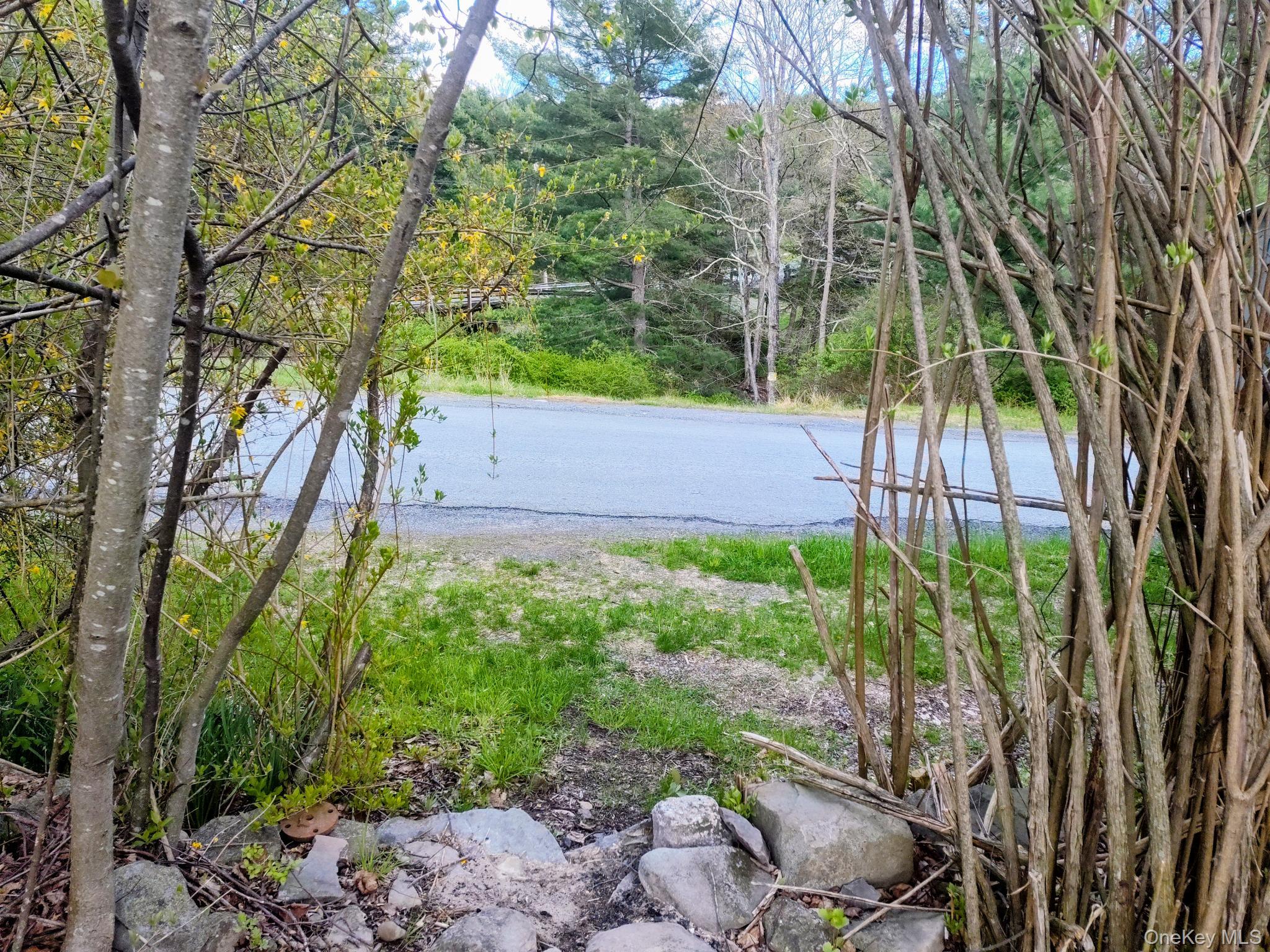 983 Plank Road Forestburgh, NY 12777 - Photo 50 of 50