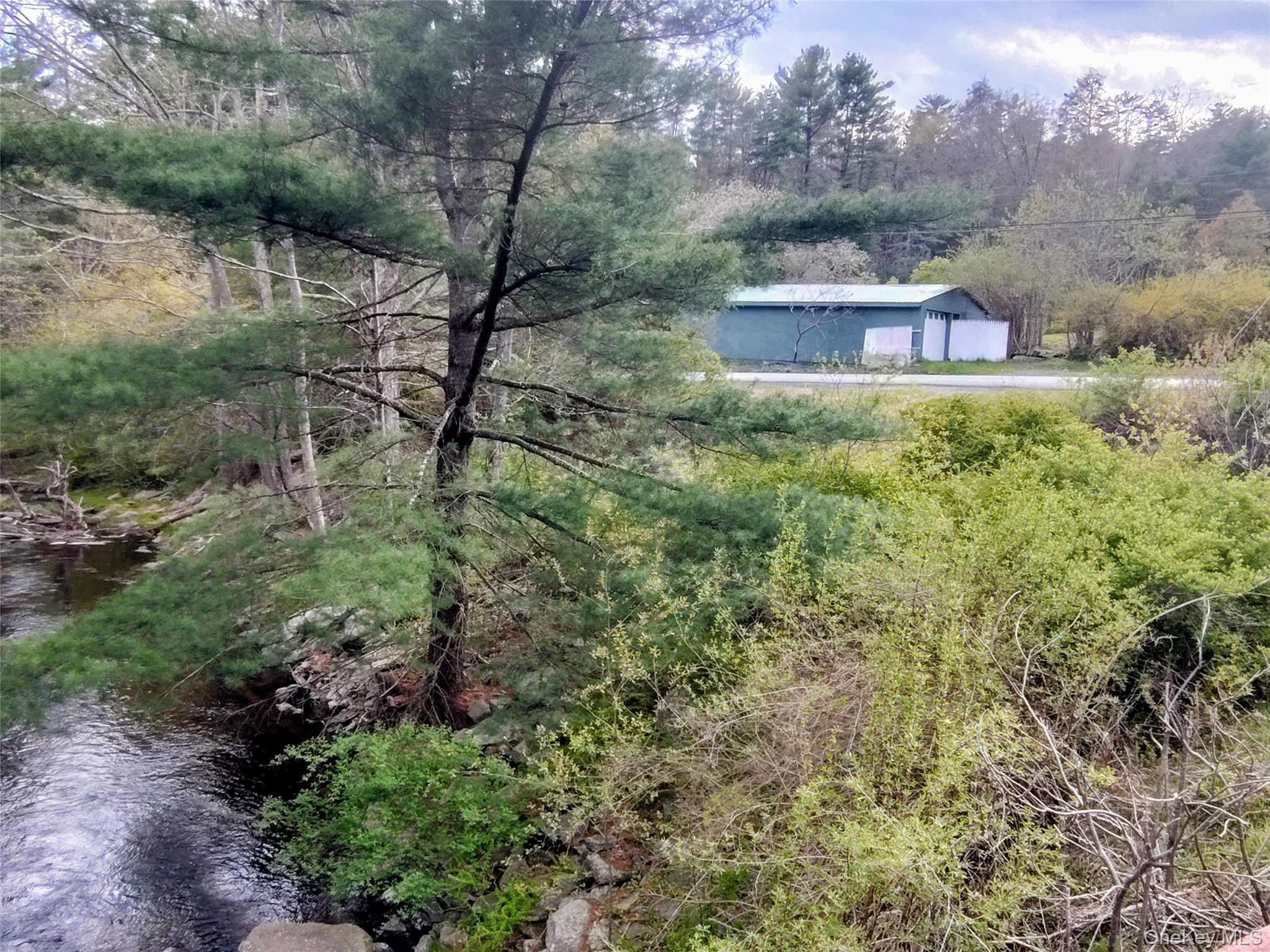 983 Plank Road Forestburgh, NY 12777 - Photo 7 of 50