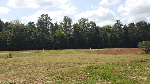 209 Pearman Road Summerfield, NC 27358 - Photo 1 of 1