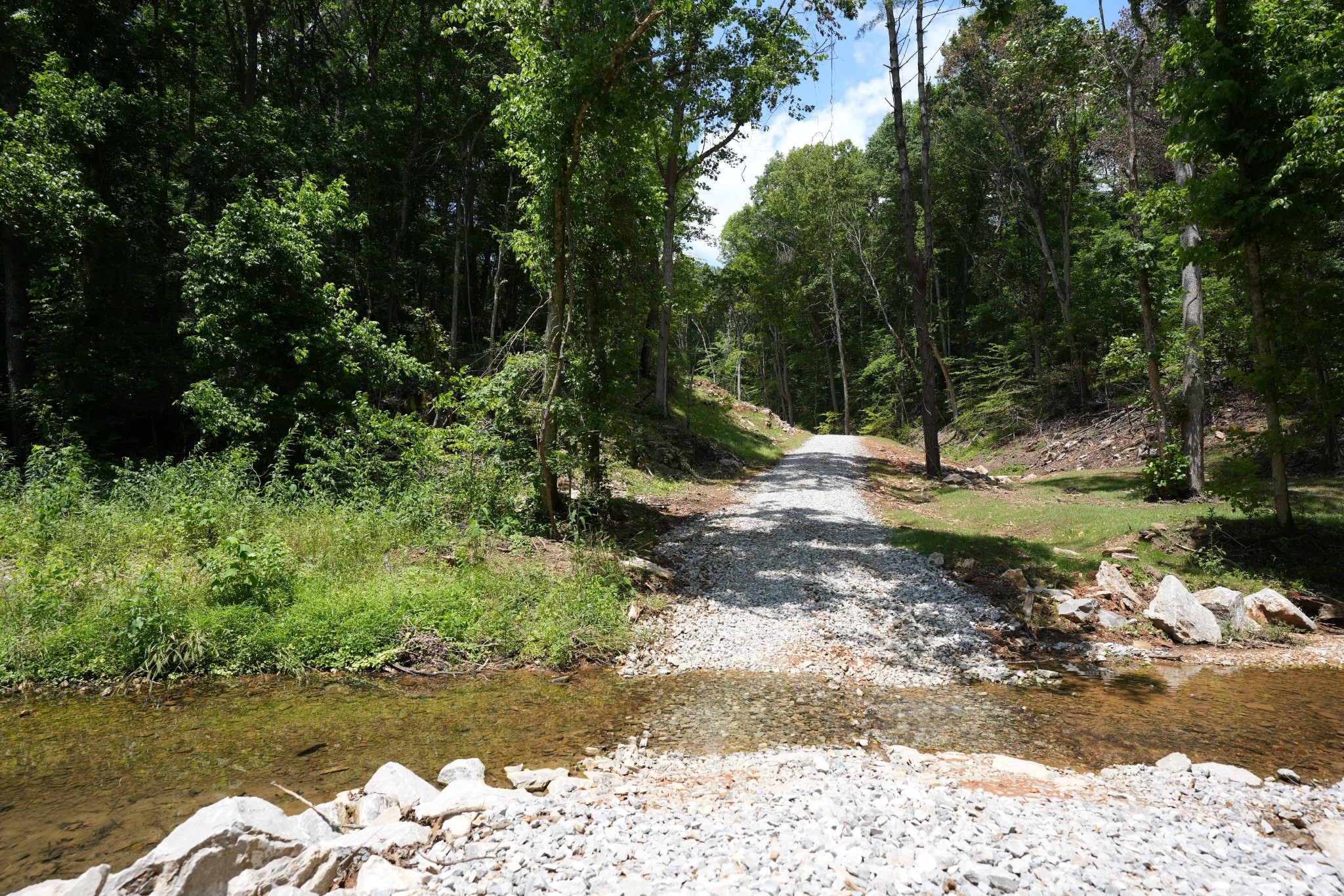 1 Budds Creek Road Palmyra, TN 37142 - Photo 14 of 76