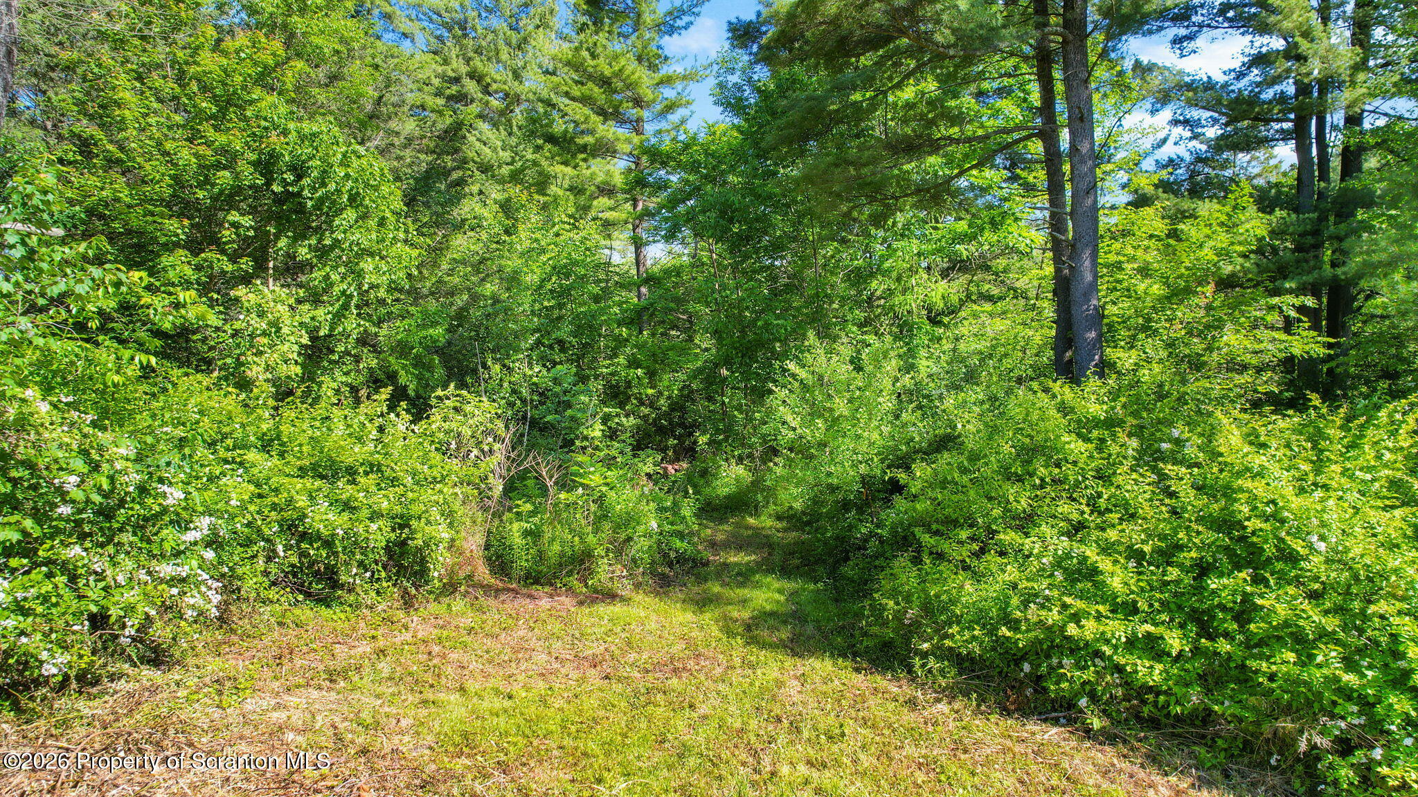 9015 Laurel Lake Road Montrose, PA 18801 - Photo 25 of 25 a view of a yard
