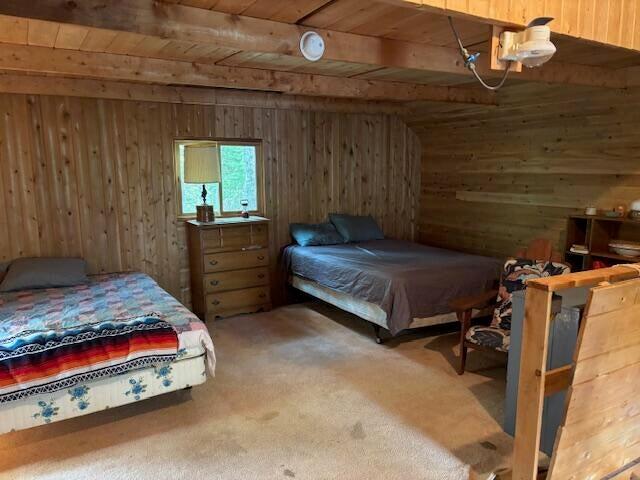 236 Berry Road Alexander, ME 04694 - Photo 25 of 27 20250803194407650999000000-o