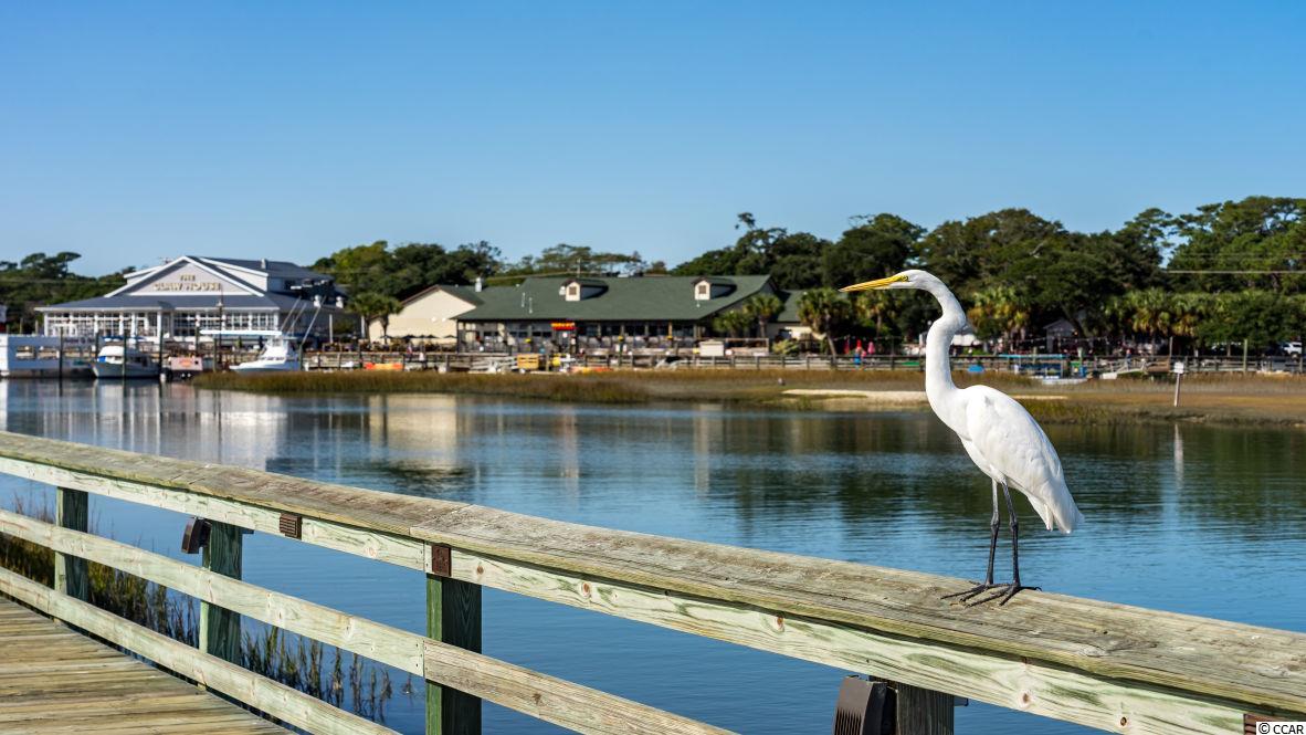 204 Pin Oak Drive Murrells Inlet, SC 29576 - Photo 40 of 40