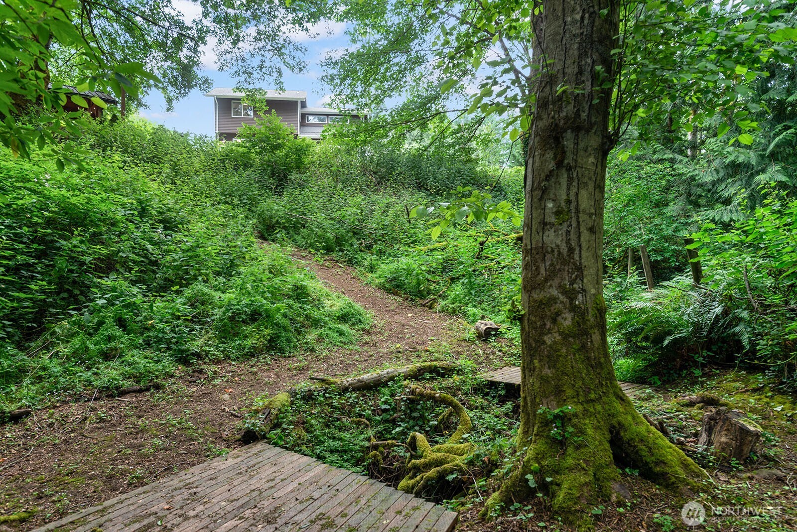 23835 Dockton Road Southwest Vashon, WA 98070 - Photo 32 of 38 a view of a garden with a tree